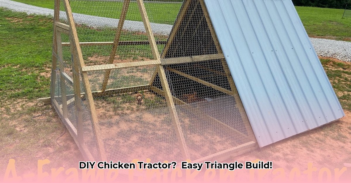 chicken-tractor-triangle